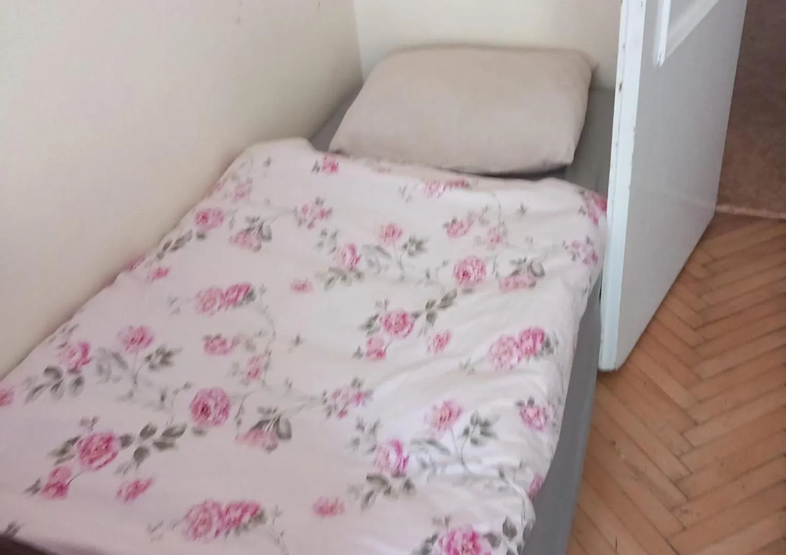 Homestay Flat 18 Minutes From Vaclavske Namesti Prague