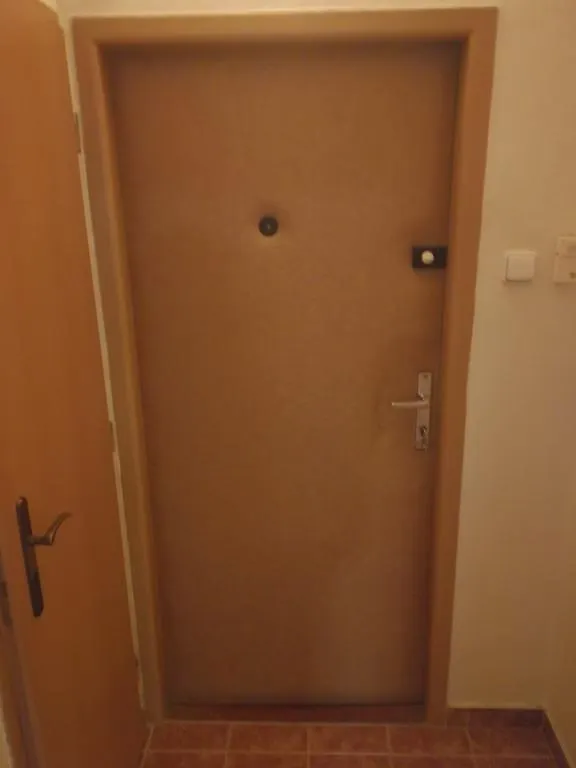 Flat 18 Minutes From Vaclavske Namesti Prag